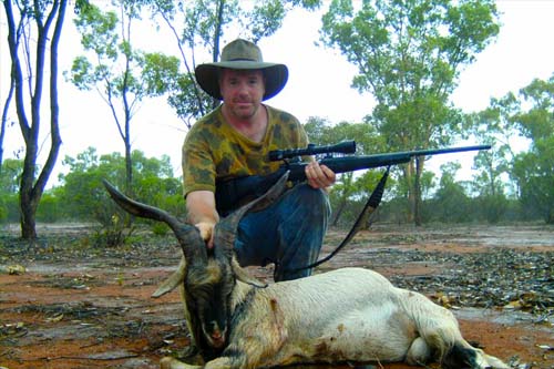 Hunting Goats in NSW