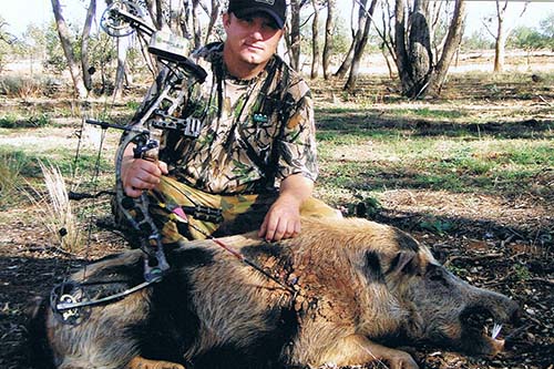 Huning Pigs with Bows