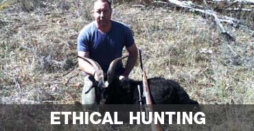 Ethical Hunting in Australia