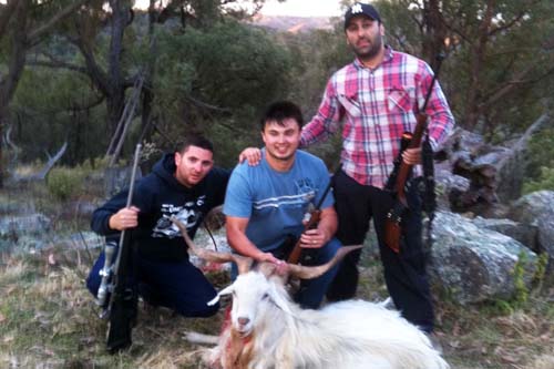 Hutning for goats in Australia