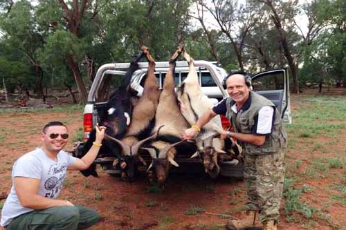 Hunting Goats on a Safari in Australia
