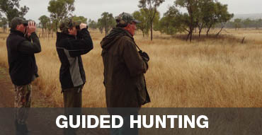 guided hunting safaris Australia