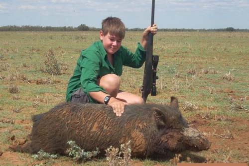 Australian Hog Hunting