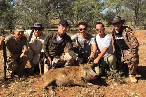 Pig Hunting with Mates in Australia