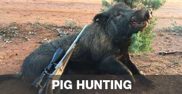Pig Hunting