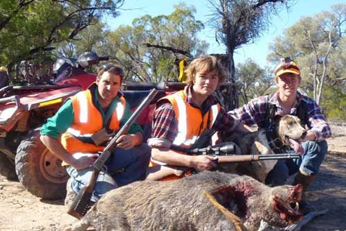 Hunting with groups in Australia