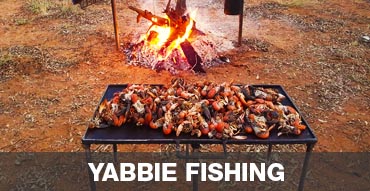 Yabbie Fishing in Australia